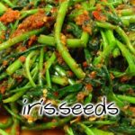 Bamboo Leaf Kangkung Seeds (100 seeds)
