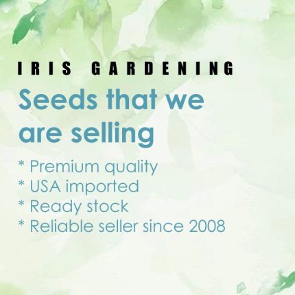 Herb Seeds Pick & Mix: Basil, Dill, Parsley & More