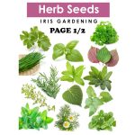 Herb Seeds Pick & Mix: Rosemary, Thyme, Mint, Sage & More