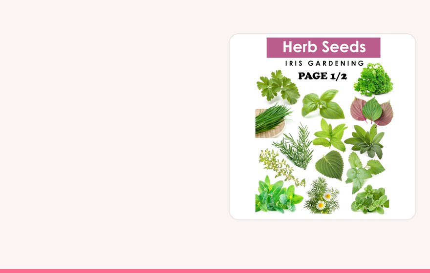 Herb seeds pick and mix: the herbs on one list