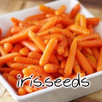 Little Finger Carrot Seeds (200 seeds)