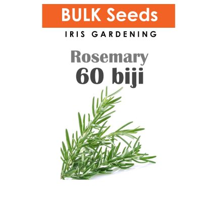 Rosemary Seeds
