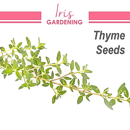 Seed Pick & Mix: Herbs, Vegetables & Flowers Seed Pick & Mix: Herbs, Vegetables & Flowers
