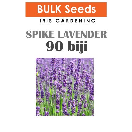 Spike Lavender Seeds