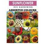 Sunflower Seeds Pick & Mix