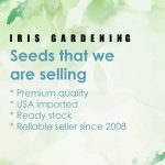 Thai Basil Seeds (100 seeds)